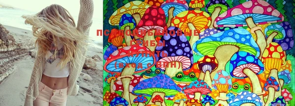 ешки Алзамай