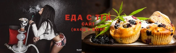 сатива Новозыбков