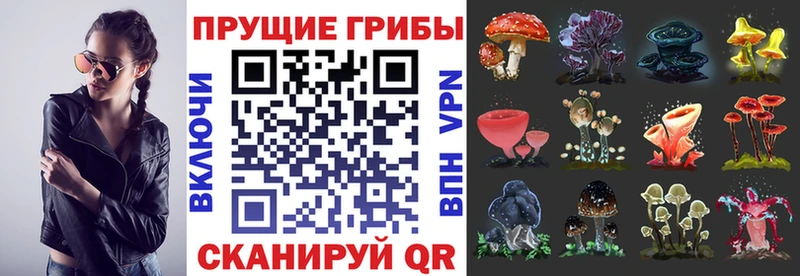 ссылка на мегу ССЫЛКА  Лениногорск  Галлюциногенные грибы мицелий 
